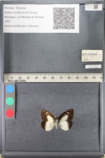 Media type: image;   Entomology 140139